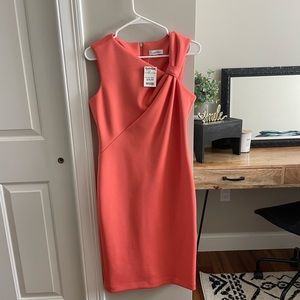Coral Sheath Dress